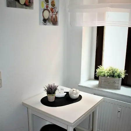 Apartamento Salzhausblick Business - Zentrale Lage Am Salzhaus - Mwst-rechnung Verfügbar Zittau