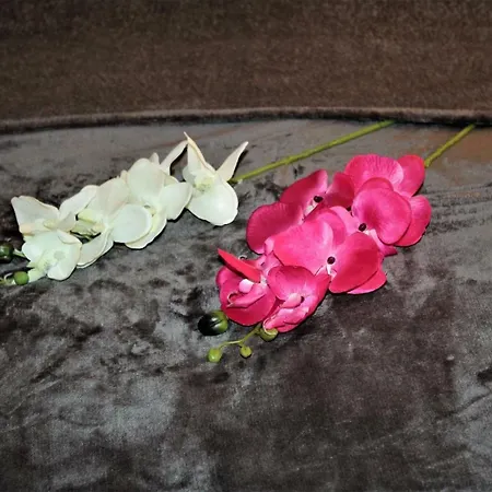 Apartamento Salzhausblick Business - Zentrale Lage Am Salzhaus - Mwst-rechnung Verfügbar Zittau