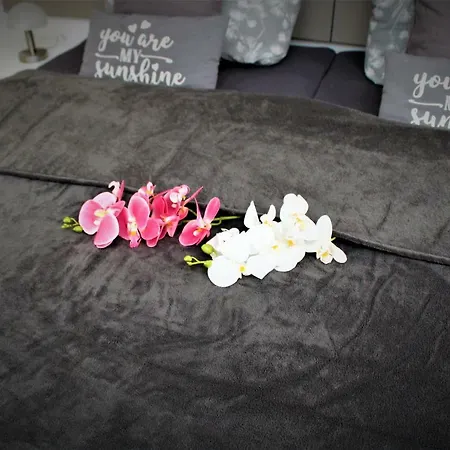 Salzhausblick Business - Zentrale Lage Am Salzhaus - Mwst-rechnung Verfuegbar