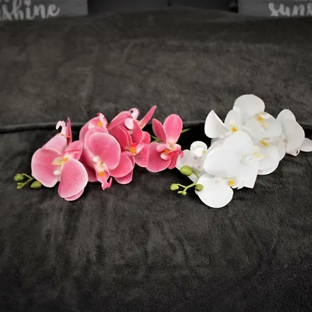 Salzhausblick Business - Zentrale Lage Am Salzhaus - Mwst-rechnung Verfügbar Apartamento Zittau