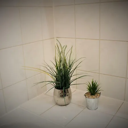 Salzhausblick Business - Zentrale Lage Am Salzhaus - Mwst-rechnung Verfügbar Zittau