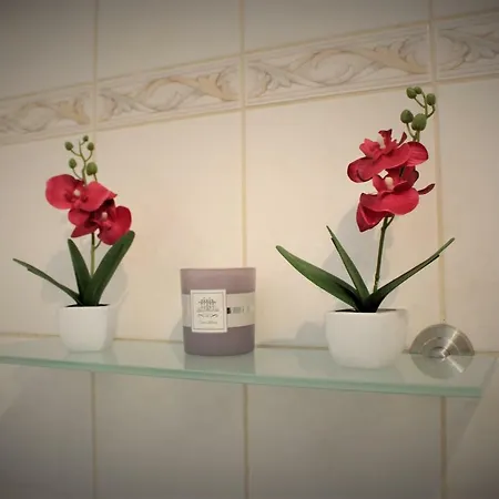 Salzhausblick Business - Zentrale Lage Am Salzhaus - Mwst-rechnung Verfügbar Apartamento