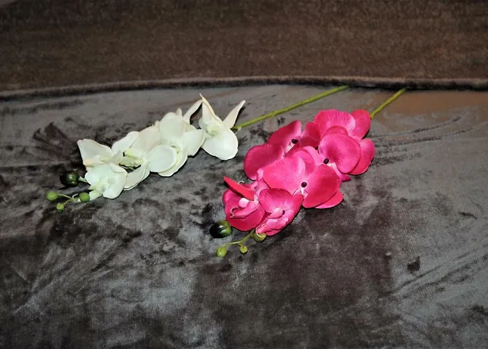 شقة Salzhausblick Business - Zentrale Lage Am Salzhaus - Mwst-rechnung Verfuegbar تسيتاو