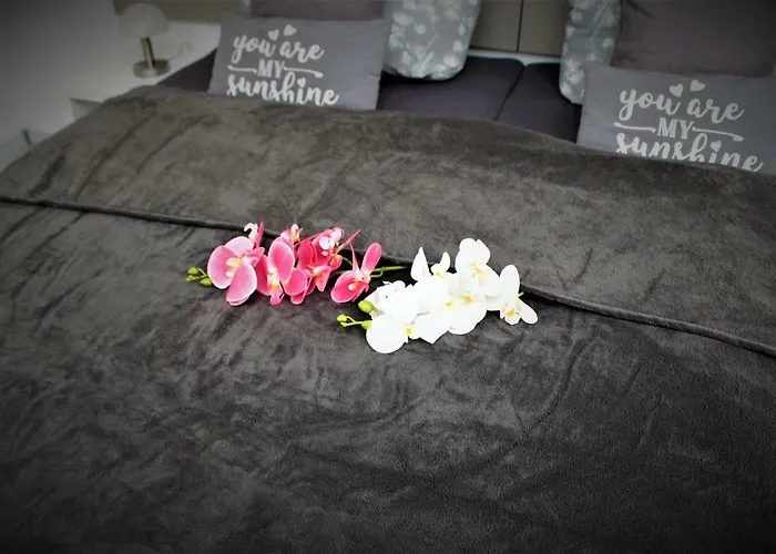 Salzhausblick Business - Zentrale Lage Am Salzhaus - Mwst-rechnung Verfuegbar