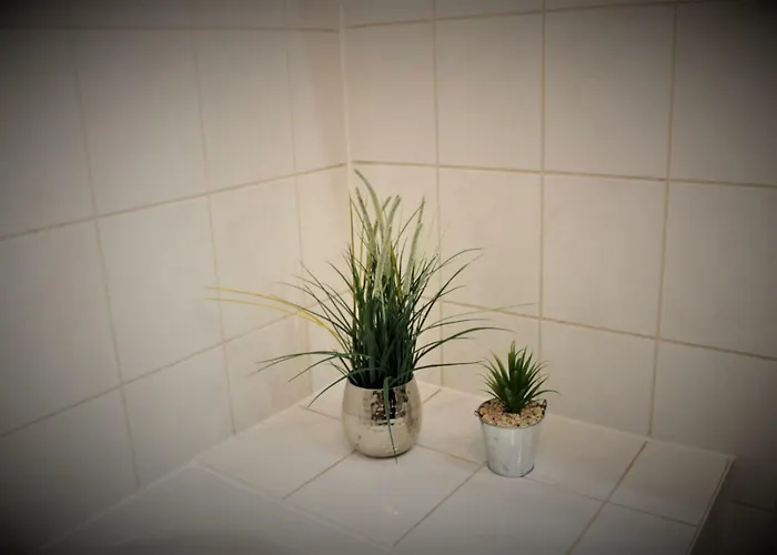 Salzhausblick Business - Zentrale Lage Am Salzhaus - Mwst-rechnung Verfuegbar تسيتاو